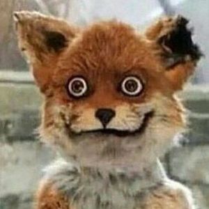 Meet your Posher, Joe